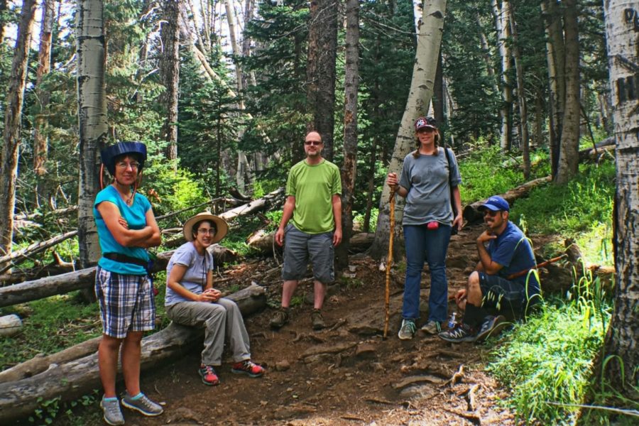 Hiking in Flagstaff among the Aspen trees in the summer time