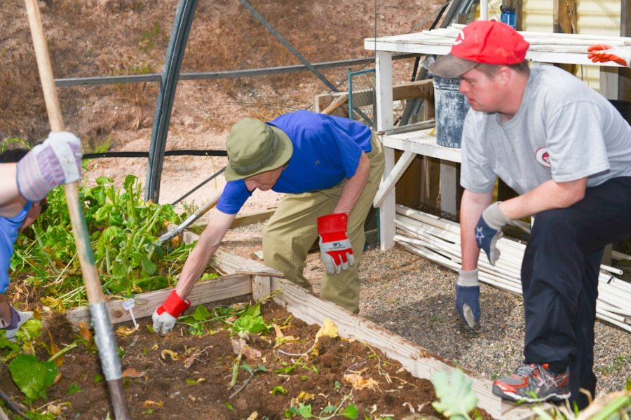 Adults with ASD and other developmental disabilities learn horticulture at Rainbow Acres