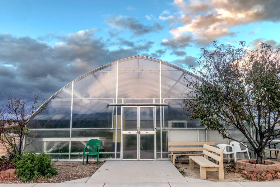 The greenhouse, here at Rainbow Acres, allows the Rancher to continue learning about horticulture and harvest vegetables throughout the year.