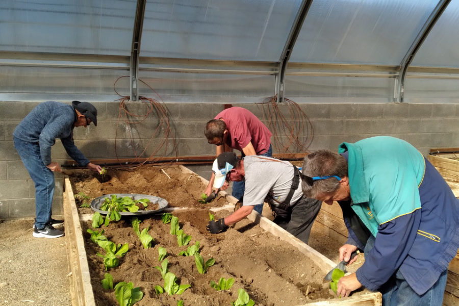 The resident ranchers prepare the soil and plant the crops in the shade house