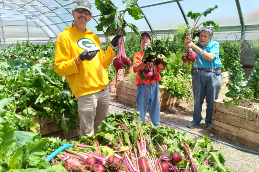 The resident ranchers harvest plants in the greenhouse