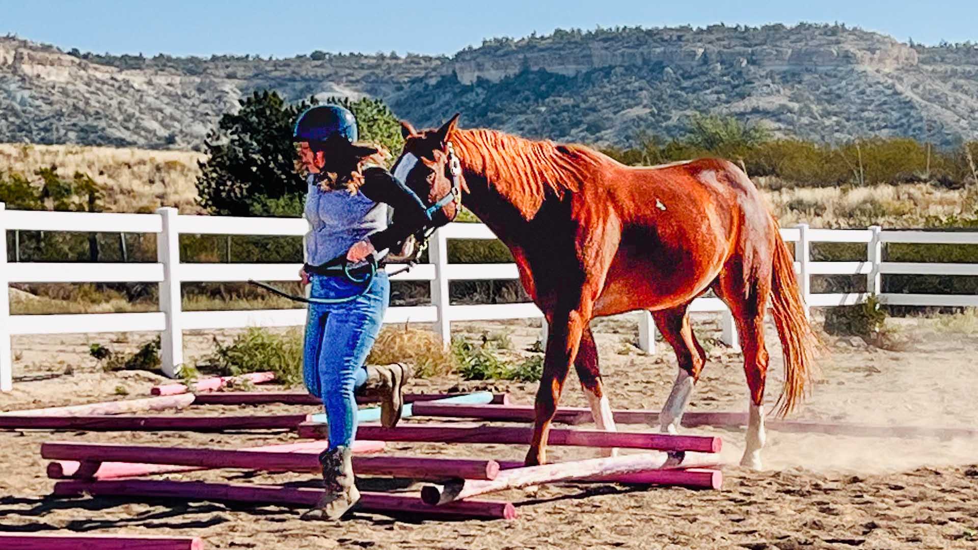 Kelly (Rancher) leads Danny (horse) through a series of obstacles at Rainbow Acres.